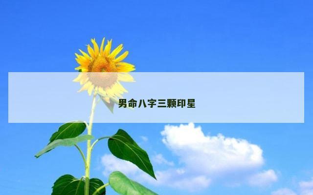 男命八字三颗印星