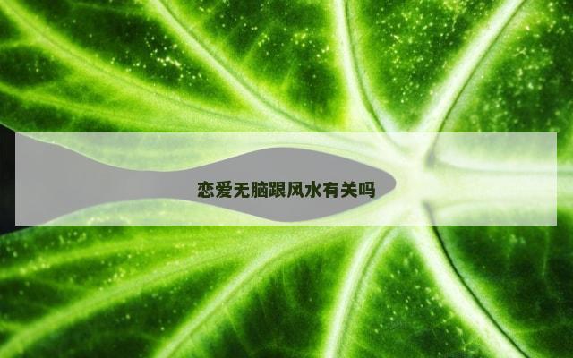 恋爱无脑跟风水有关吗