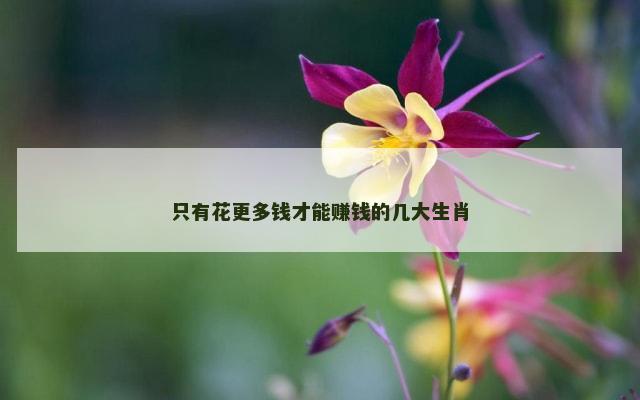 只有花更多钱才能赚钱的几大生肖