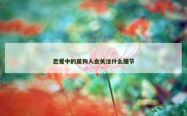 恋爱中的属狗人会关注什么细节