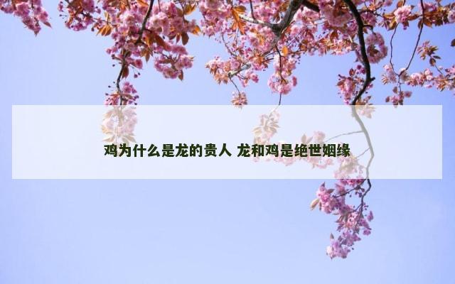 鸡为什么是龙的贵人 龙和鸡是绝世姻缘