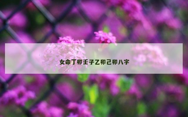 女命丁卯壬子乙卯己卯八字