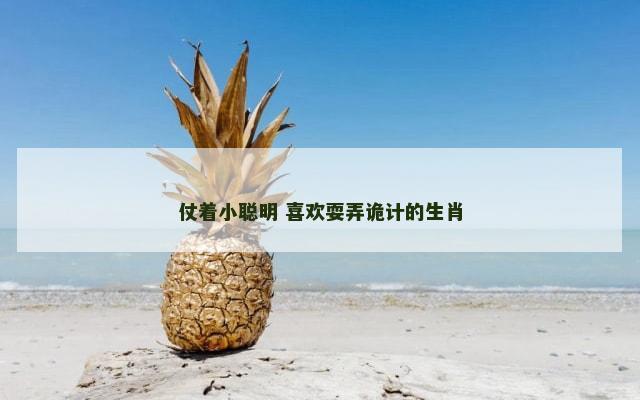 仗着小聪明 喜欢耍弄诡计的生肖