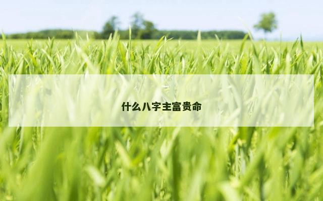 什么八字主富贵命
