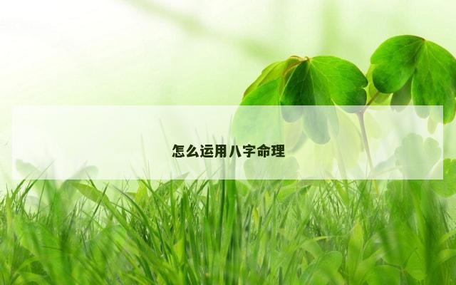 怎么运用八字命理