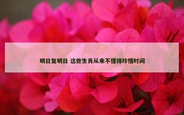 明日复明日 这些生肖从来不懂得珍惜时间
