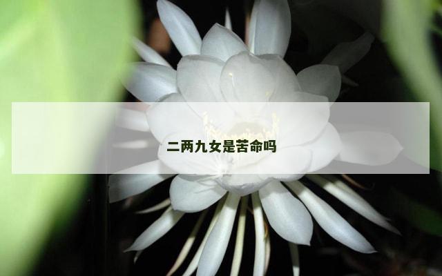 二两九女是苦命吗