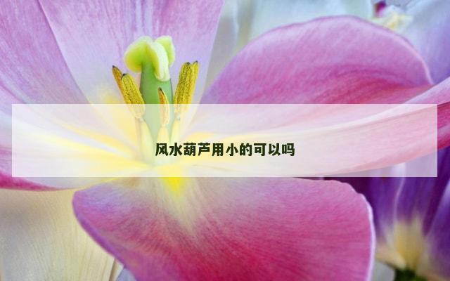 风水葫芦用小的可以吗