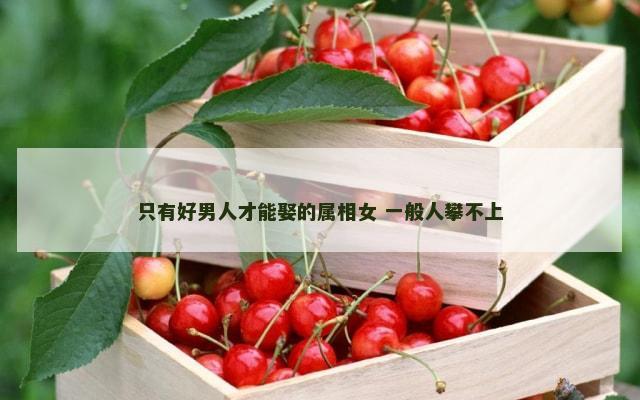 只有好男人才能娶的属相女 一般人攀不上
