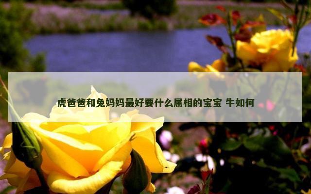 虎爸爸和兔妈妈最好要什么属相的宝宝 牛如何