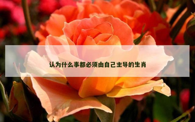 认为什么事都必须由自己主导的生肖