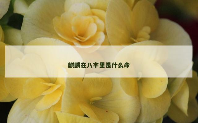 麒麟在八字里是什么命