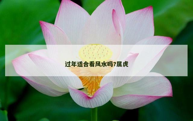 过年适合看风水吗?属虎