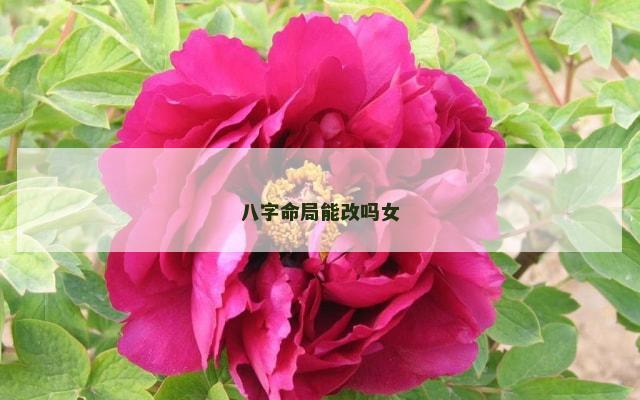 八字命局能改吗女