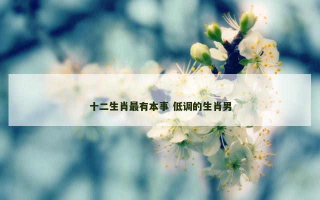 十二生肖最有本事 低调的生肖男