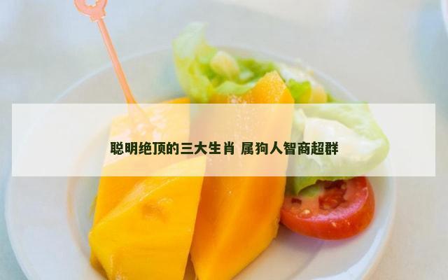 聪明绝顶的三大生肖 属狗人智商超群