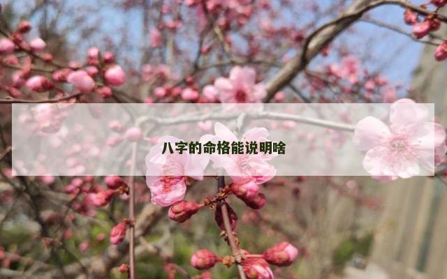 八字的命格能说明啥