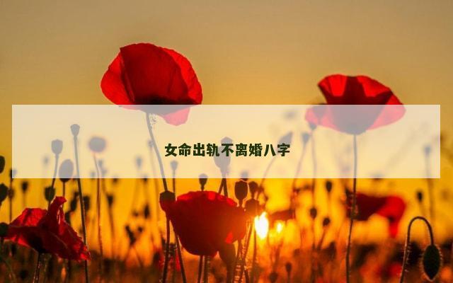 女命出轨不离婚八字