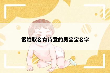 雷姓取名有诗意的男宝宝名字