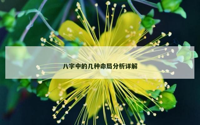 八字中的几种命局分析详解