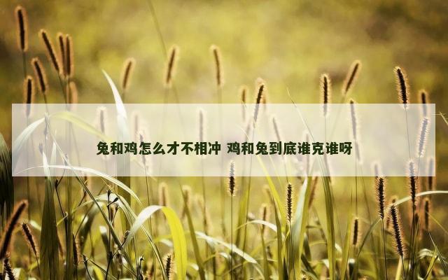 兔和鸡怎么才不相冲 鸡和兔到底谁克谁呀