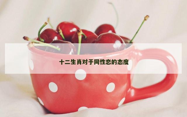 十二生肖对于同性恋的态度