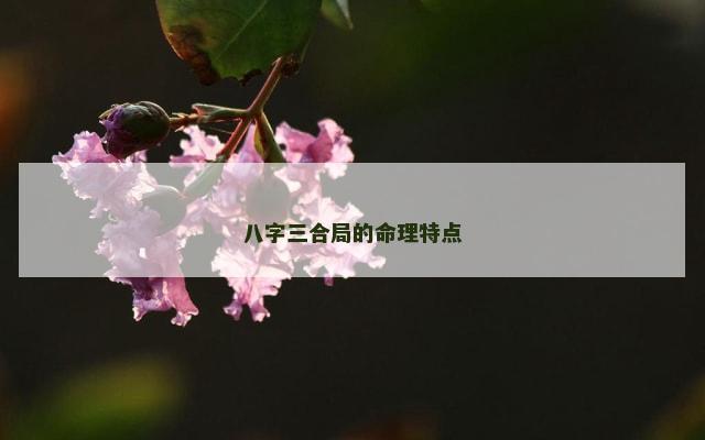 八字三合局的命理特点