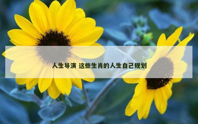 人生导演 这些生肖的人生自己规划