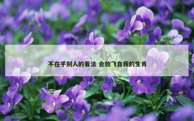 不在乎别人的看法 会放飞自我的生肖