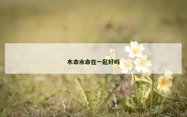 木命水命在一起好吗