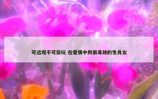 可远观不可亵玩 在爱情中阴狠毒辣的生肖女