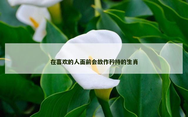 在喜欢的人面前会故作矜持的生肖