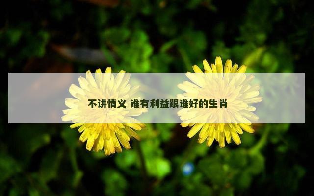 不讲情义 谁有利益跟谁好的生肖