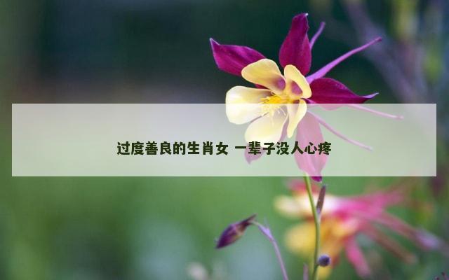 过度善良的生肖女 一辈子没人心疼