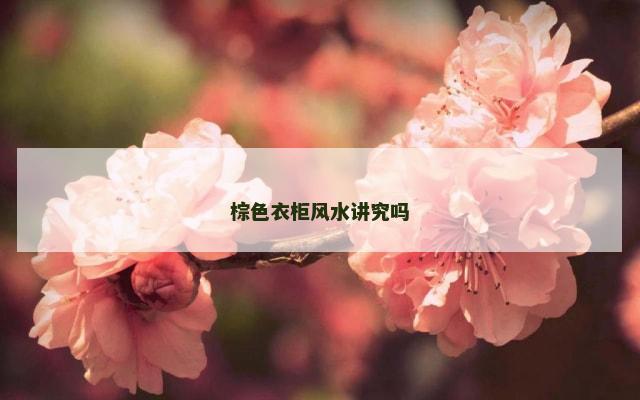棕色衣柜风水讲究吗