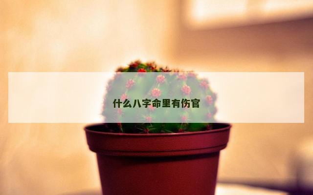 什么八字命里有伤官