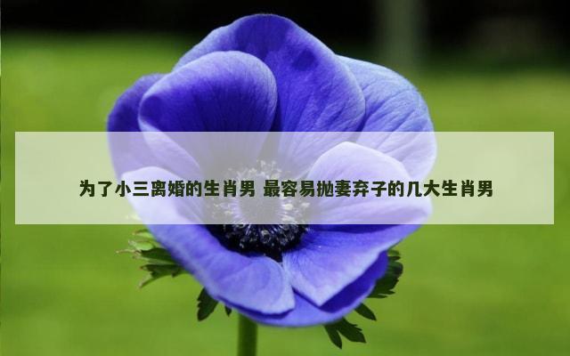 为了小三离婚的生肖男 最容易抛妻弃子的几大生肖男
