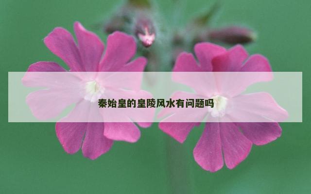 秦始皇的皇陵风水有问题吗