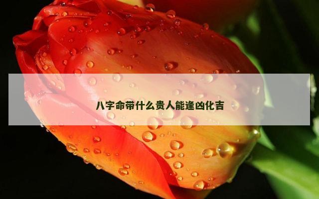 八字命带什么贵人能逢凶化吉