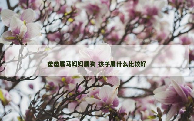 爸爸属马妈妈属狗 孩子属什么比较好