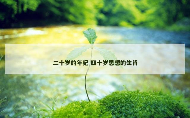 二十岁的年纪 四十岁思想的生肖