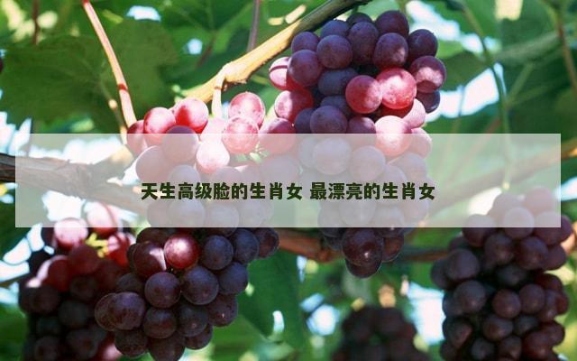 天生高级脸的生肖女 最漂亮的生肖女