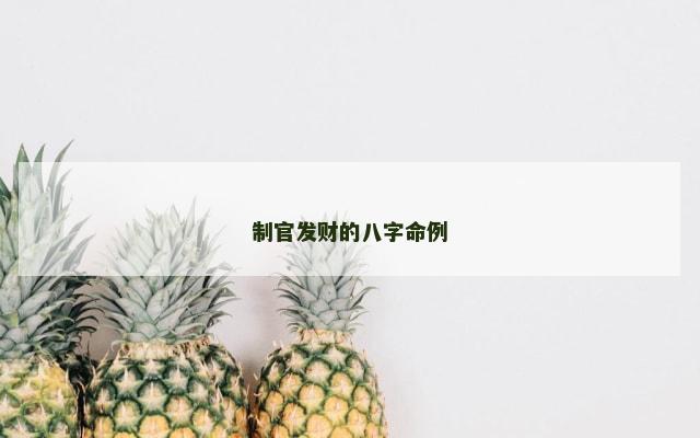 制官发财的八字命例