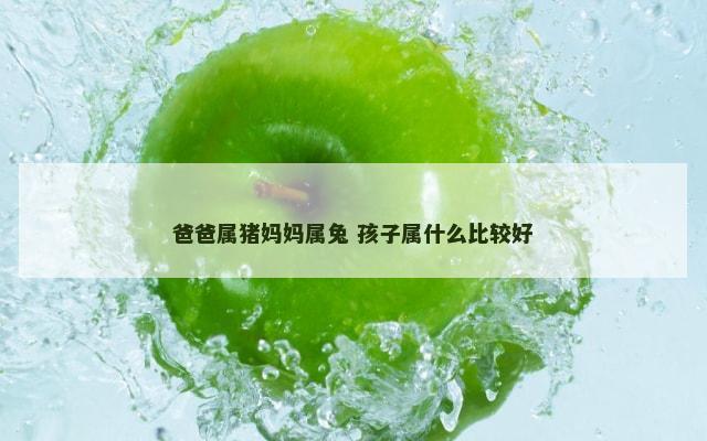 爸爸属猪妈妈属兔 孩子属什么比较好