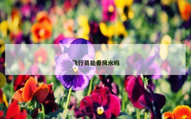 飞行员能看风水吗