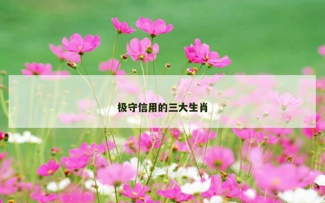 极守信用的三大生肖