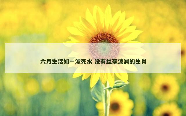 六月生活如一潭死水 没有丝毫波澜的生肖