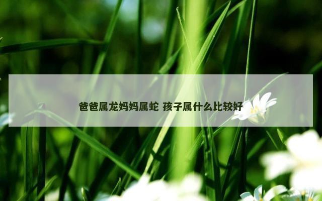 爸爸属龙妈妈属蛇 孩子属什么比较好