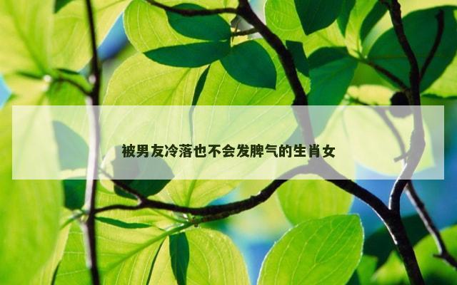 被男友冷落也不会发脾气的生肖女