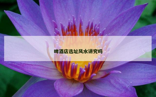 啤酒店选址风水讲究吗